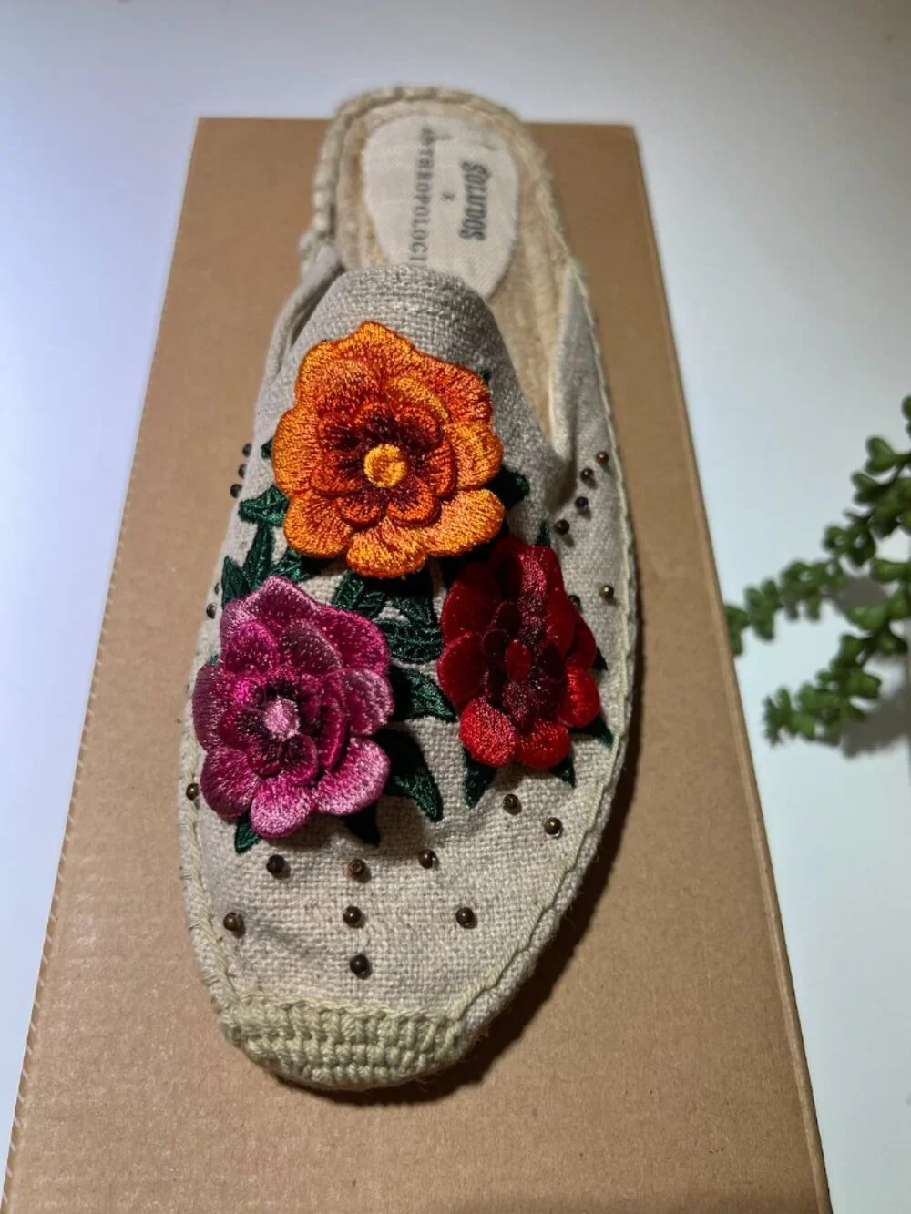 Soludos anthropologie bahia
